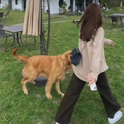 我们在此消失